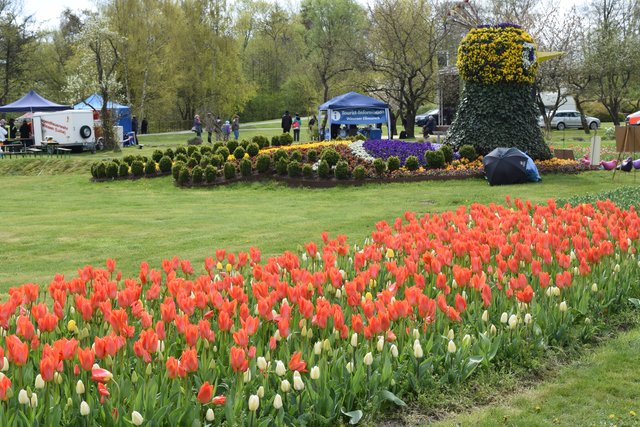 Impressionen: 10. Tulpenfest in Winsen