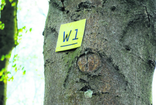 Der offizielle Estewanderweg verlief über den inoffiziellen Trampelpfad