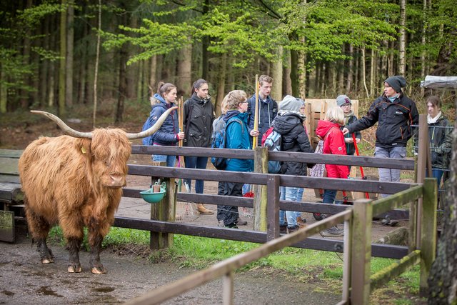 Anpacken ist angesagt - egal ob Junge oder Mädchen:
Ausmisten, Füttern, Klauenpflege und viele andere Dinge
gehören zum Tierpflegeberuf - und das bei Wind und Wetter | Foto: Wildpark/Thomas Ix