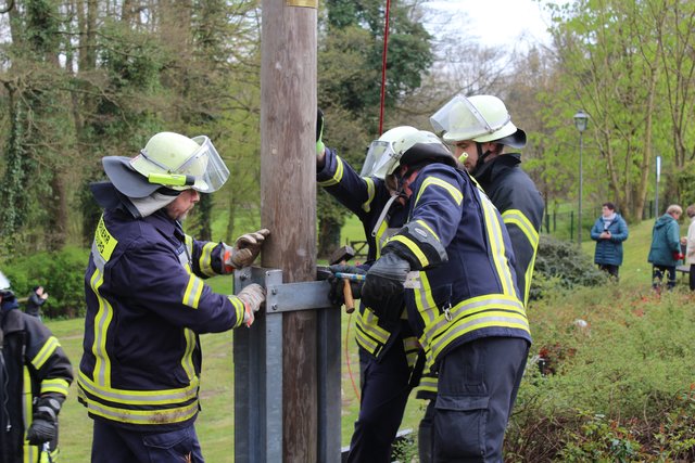 Den Baum in das Gestell einzupassen ist Maßarbeit