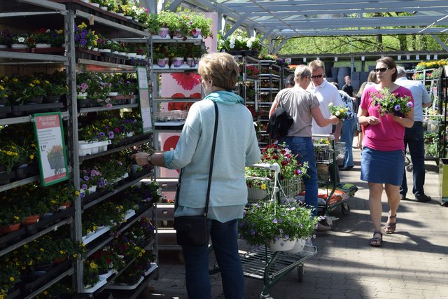 Verkaufsoffener Sonntag in Hittfeld Sommerlicher Einkauf Seevetal