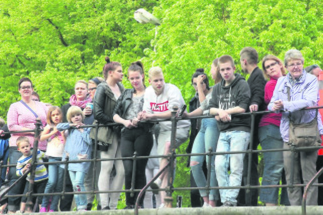 Zaungäste waren bei den Rettungsarbeiten ausnahmsweise willkommen