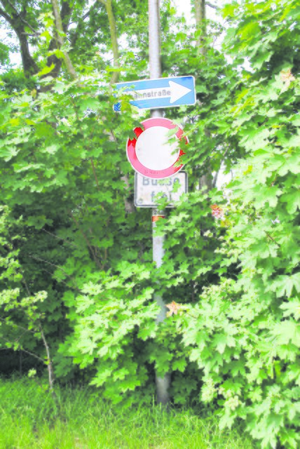 ... da - streng nach Ausschilderung - hier eigentlich nur Busse fahren dürften, die den Bahnübergang ohnehin nicht nutzen