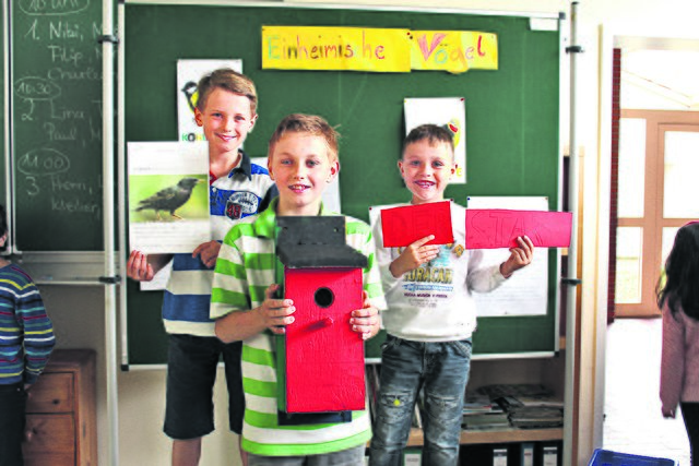 Nevio (v. li.), Travis und Michele wollen ihr Vogelhaus auf dem Schulhof aufhängen