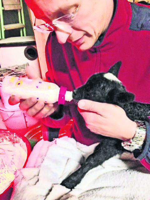 Marco Stöver hat das kleine Soayschaf mit der Flasche aufgezogen | Foto: privat