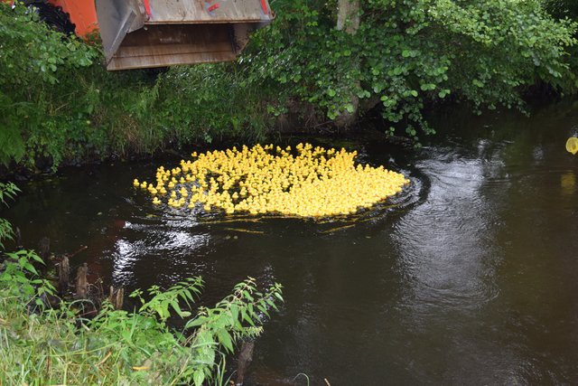 777-jähriges Bestehen: Entenrennen in Marxen