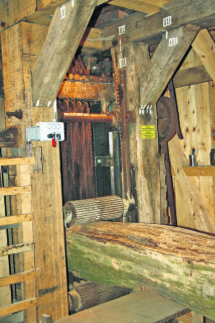 Der Holzstamm wird durch die Säge geschoben, die Sägeblätter sind vertikal angebracht