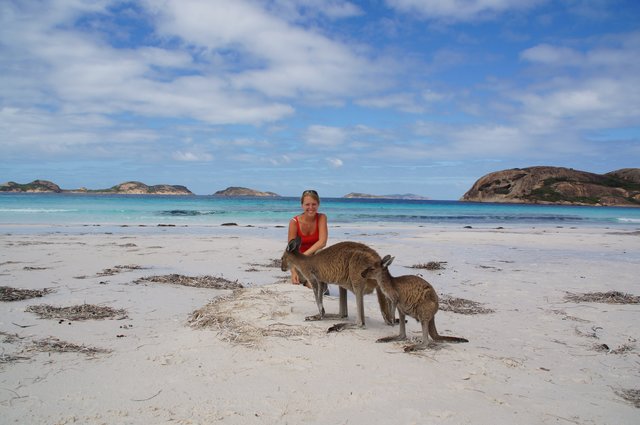 An der australischen Westküste ging Anika Gerdau auf Tuchfühlung mit neugierigen Kängurus | Foto: Anika Gerdau