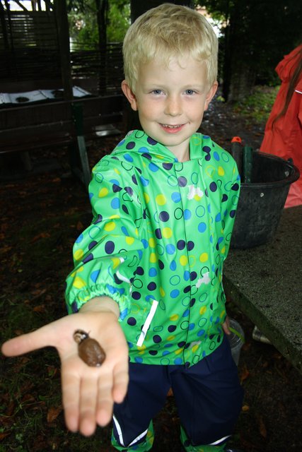 Einige Kinder nahmen die Schnecken sogar auf die Hand
