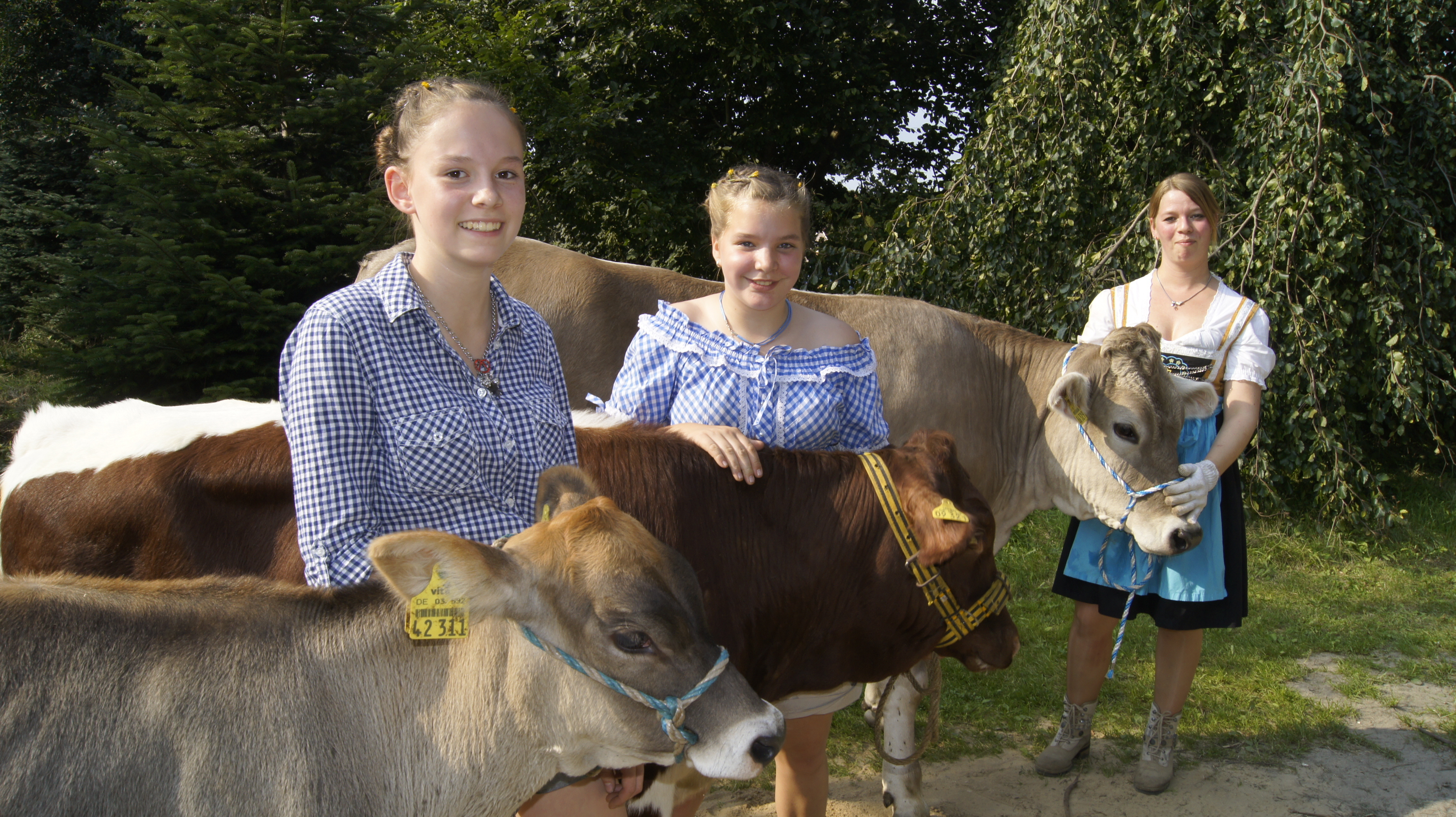 Wenke Kracke, Berit Riebesehl und Svenja Pause (v. li.) trieben Kühe übers Gelände