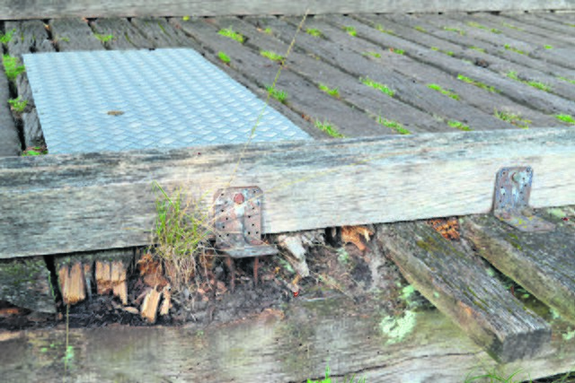 Teilweise ist das Holz bereits verrottet