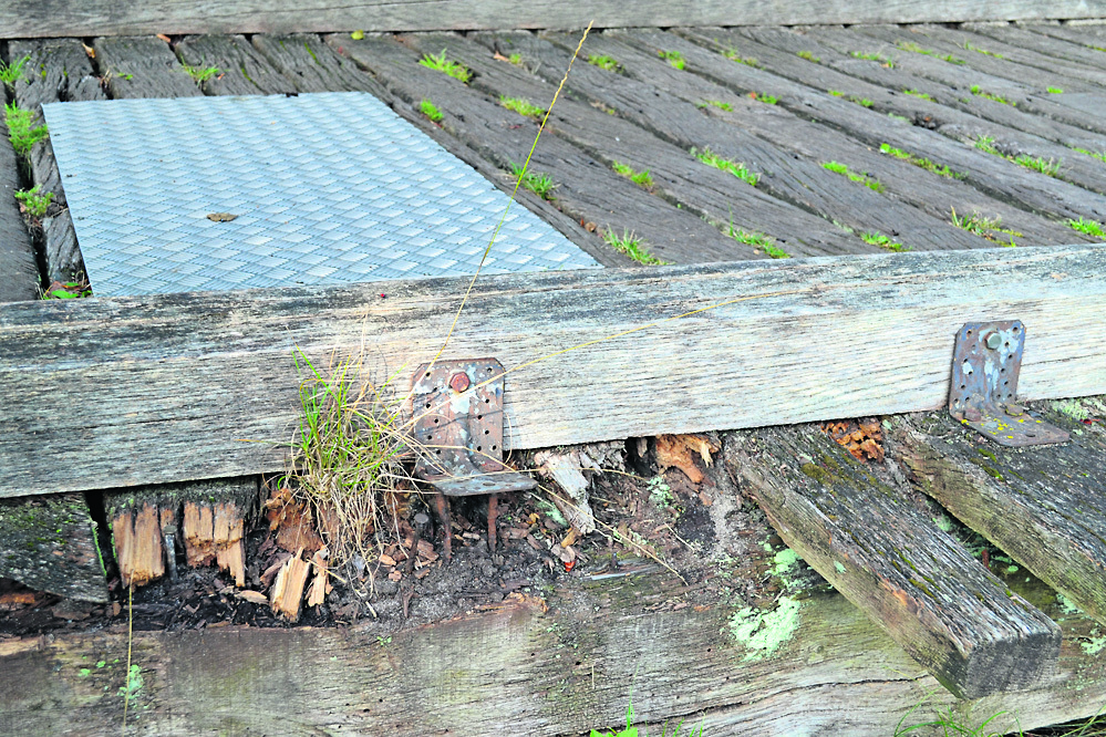 Teilweise ist das Holz bereits verrottet
