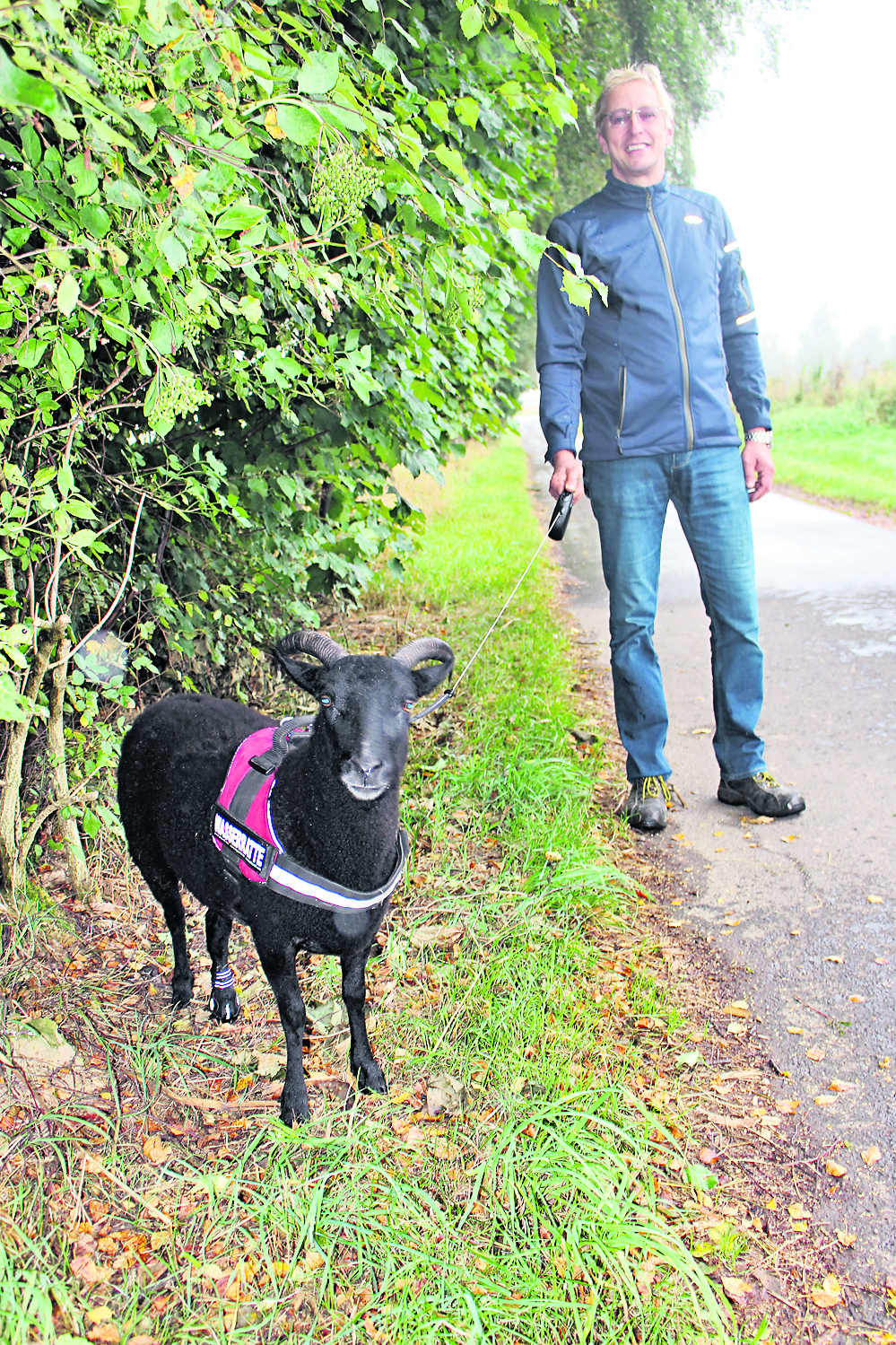 Hat keine Scheu vor Menschen und läuft wie ein Hund an der Leine: das Schaf„Lillifee“ mit Besitzer Marco Stöver
