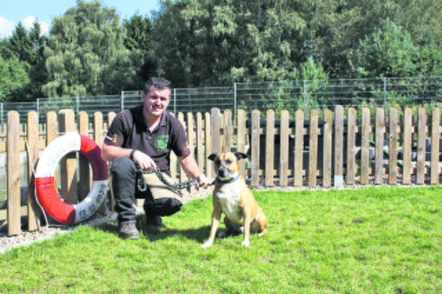 Marenglen Pisha, hier mit Hund "Prince", ist im Tierheim Buchholz unentbehrlich
