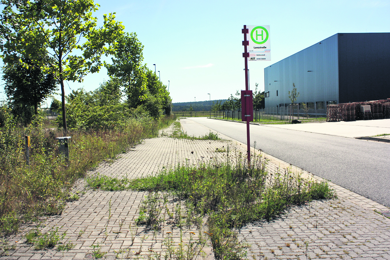 An der Lanzstraße wuchert das Grün an der Bushaltestelle