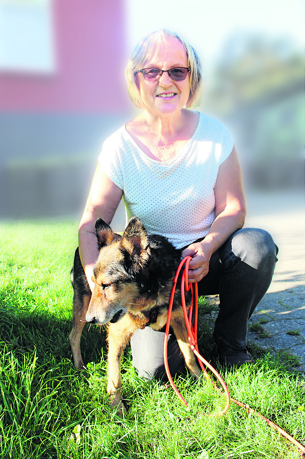 Dank Spenden wieder ein fröhlicher Hund: der nahezu genesene "Frieder" und sein derzeitiges Frauchen, Rita Sarach