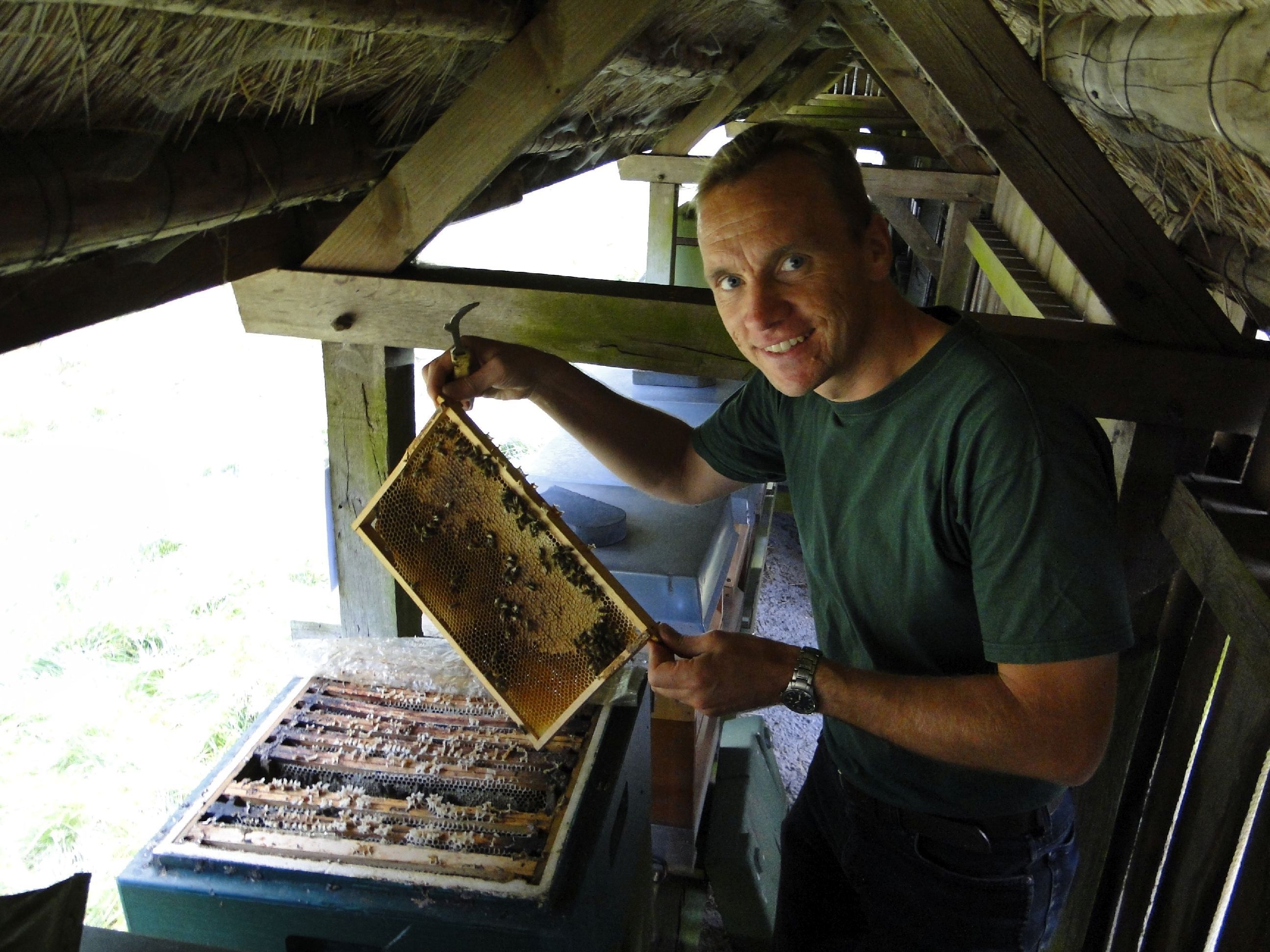 Jan-Hinrich Nebendahl bei der Kontrolle seiner „Heidebienen“