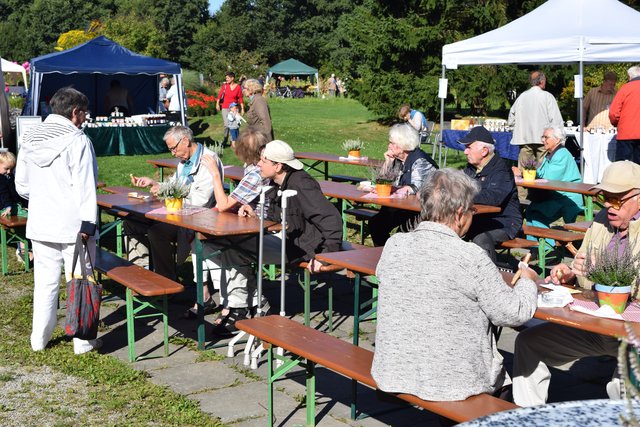 Impressionen: Dahlientag in Winsen
