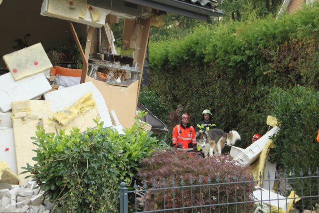 Ein Spürhund sucht nach Verschütteten