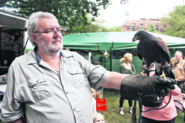 Handzahm: Falkner Wolfgang Tolksdorf und sein amerikanischer Wüstenbussard besuchten den Hegering Buchholz | Foto: os
