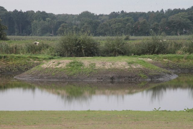 Neue Vogelinsel als Natur-Ausgleich für die Mega-Baumaßnahme