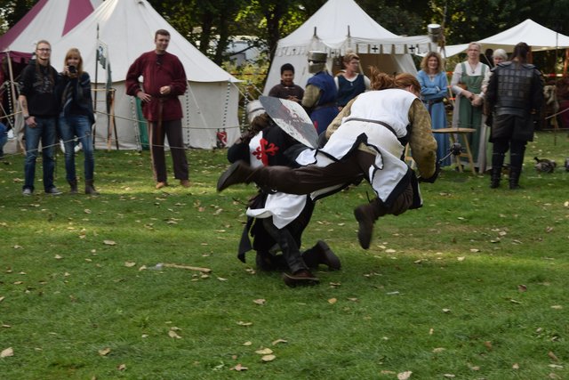 Impressionen: "Elb-Spectaculum zu Stove"