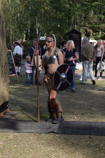 Impressionen: "Elb-Spectaculum zu Stove"