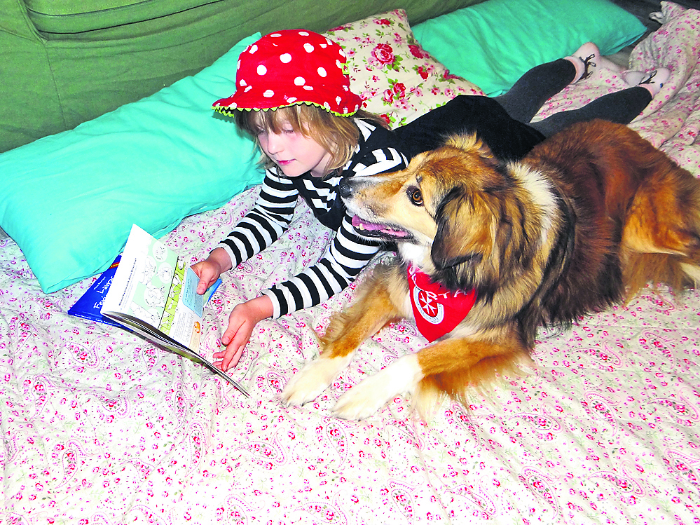 Ob das Buch gefällt? Bücherhund Roberta im Einsatz