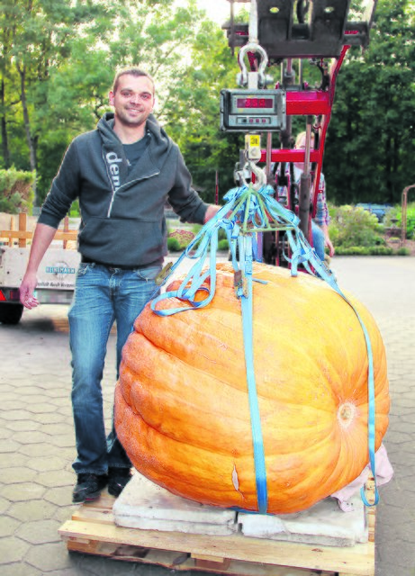 Benjamin Boroske ist Wettbewerbssieger: Sein Kürbis wiegt 358 Kilo