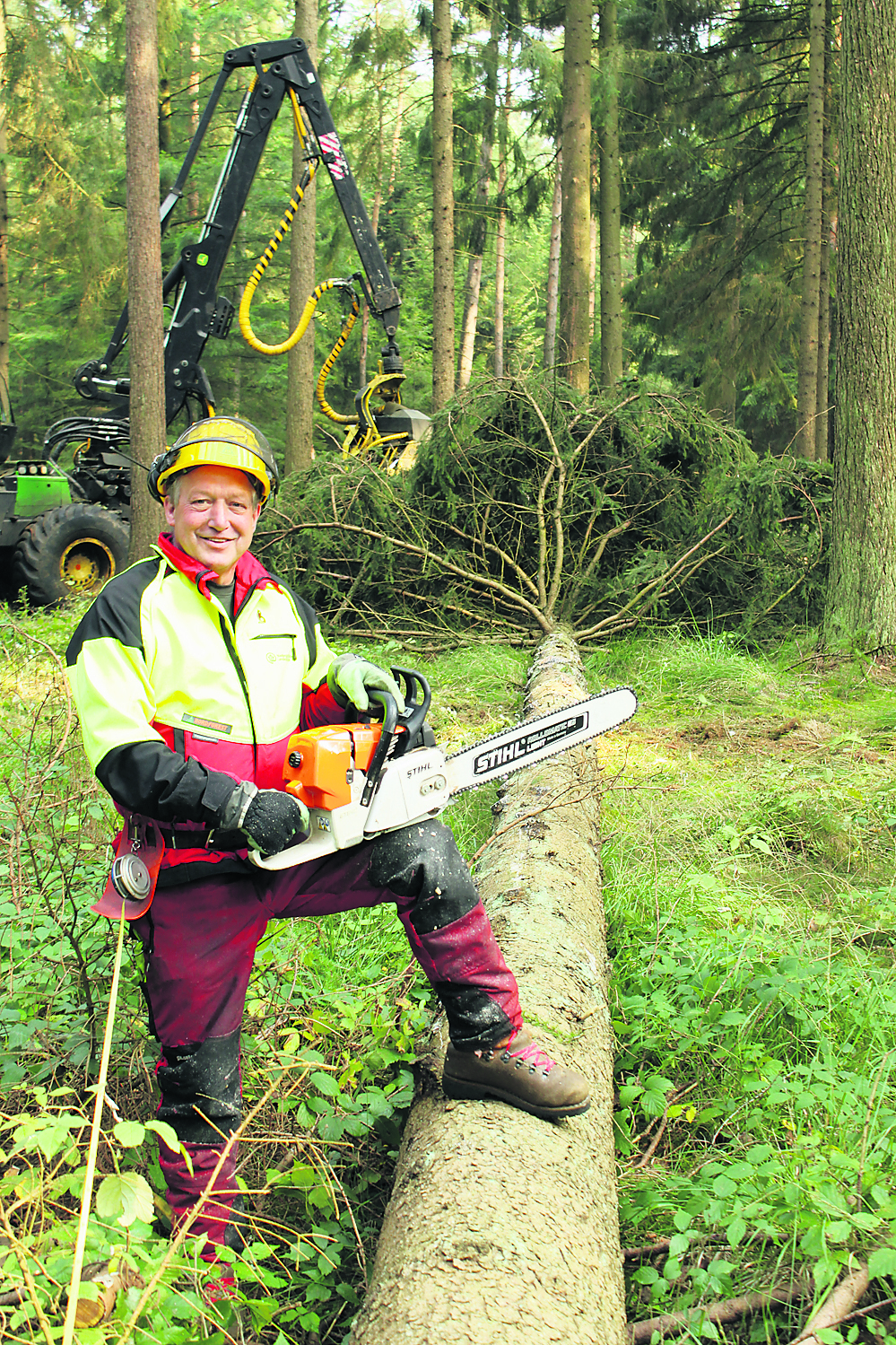 Für ihn gibt es keinen schöneren Job: Detlev Lippert liebt seinen Arbeitsplatz im Wald. Sein Wissen über den Wald gibt der Forstwirtschaftsmeister an die nächste Generation weiter: Er bildet seit mehr als 30 Jahren angehende Forstwirte aus
