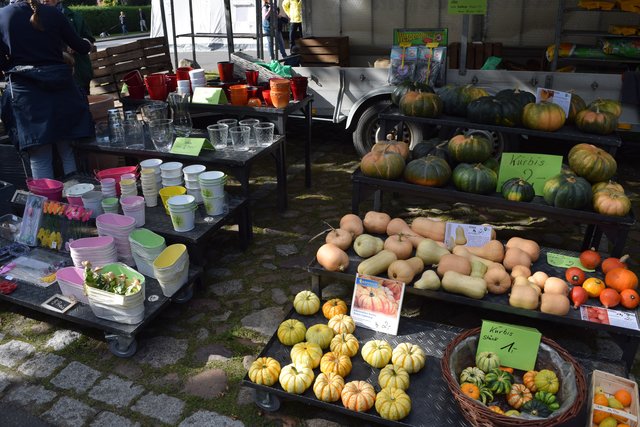 Impressionen: Bauernmarkt in Marschacht