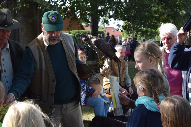 Impressionen: Bauernmarkt in Marschacht