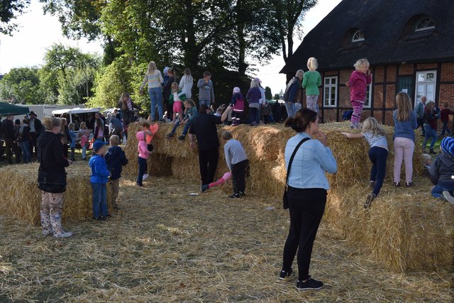 Impressionen: Bauernmarkt in Marschacht