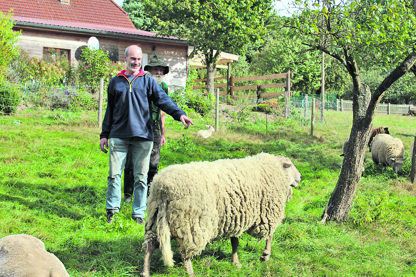 Landwirt Heiko Schröder (li.) ist froh, für Schafbock Lukas
bei Günter Garbers ein neues Zuhause gefunden zu haben