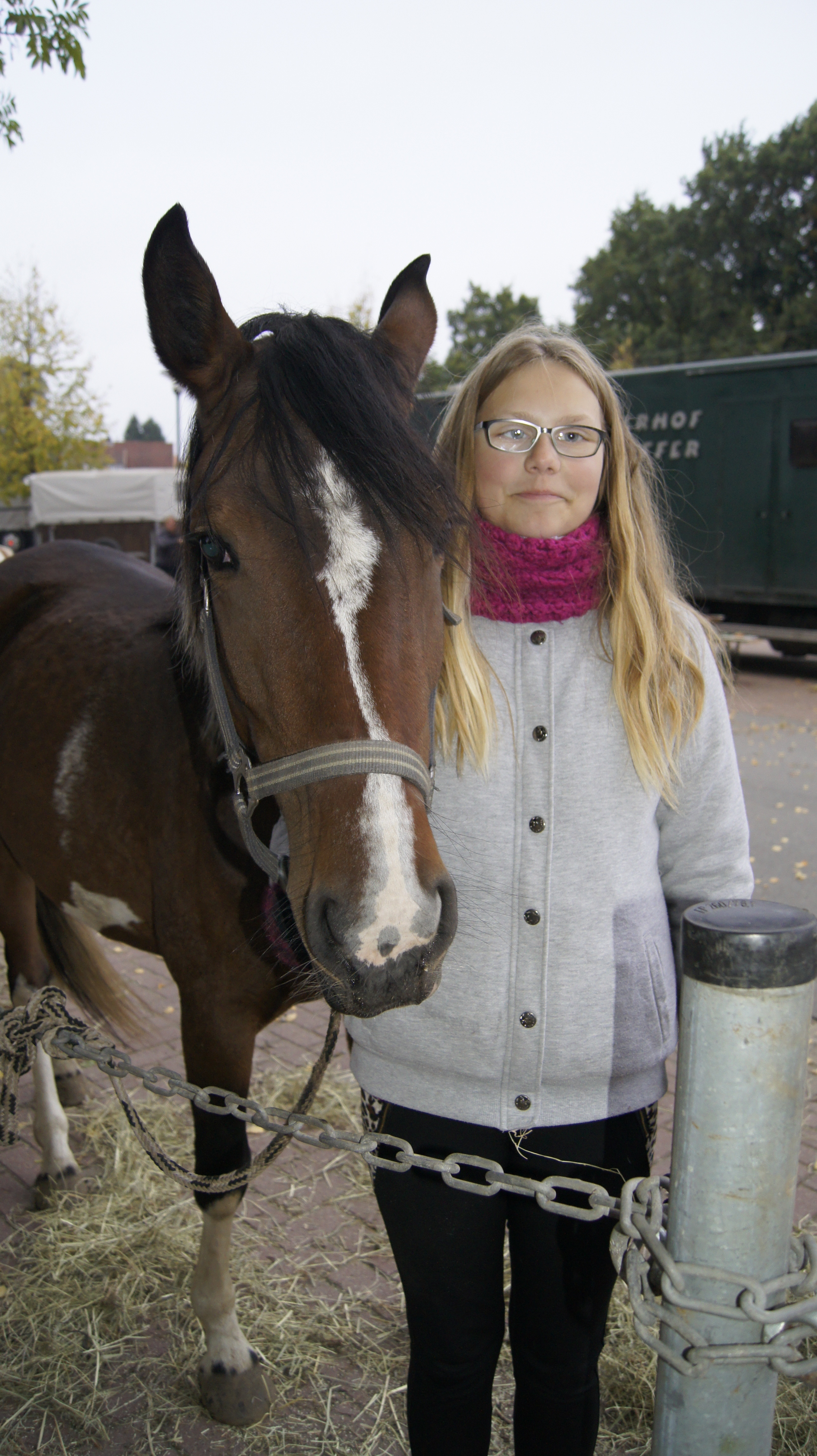 Reisten aus der Nähe von Bremervörde an: Pony "Miss Perfect" mit Marie Stahnke (12)