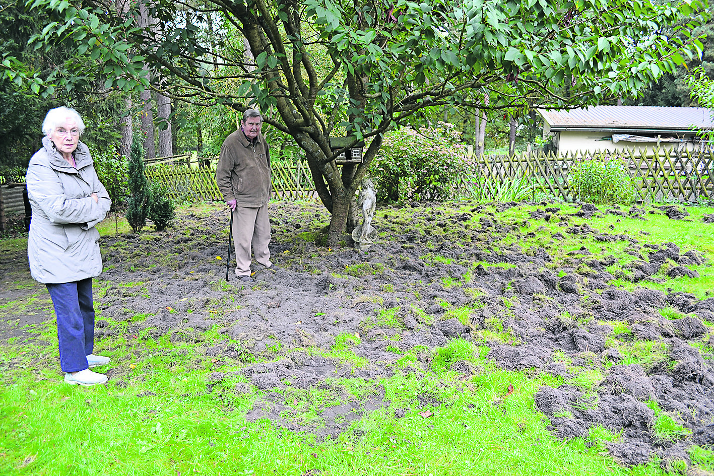 Lydia und Harald Reinke auf der von Wildschweinen verwüsteten Fläche in ihrem Garten