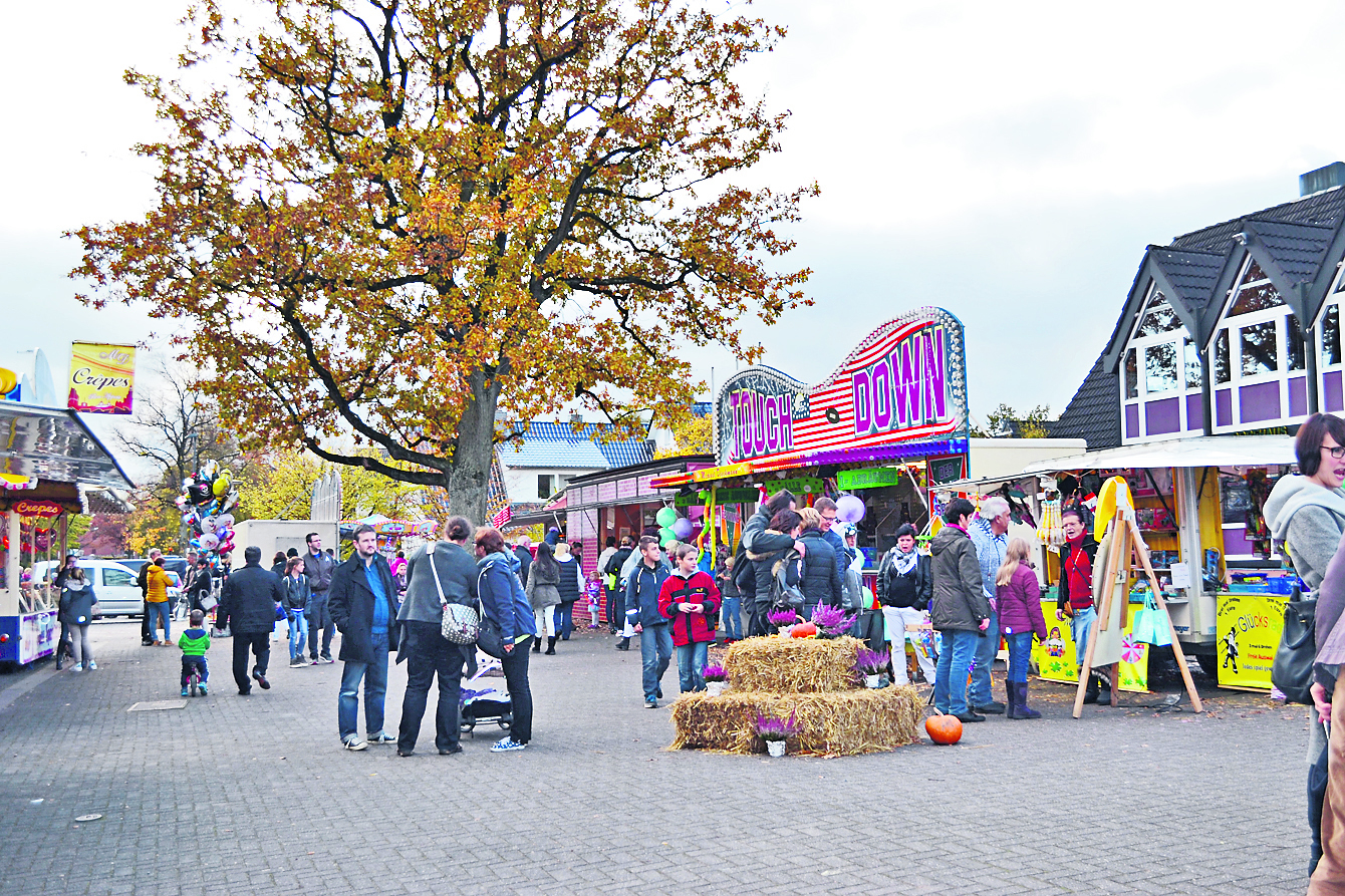 Die Maschener treffen sich beim Herbstmarkt