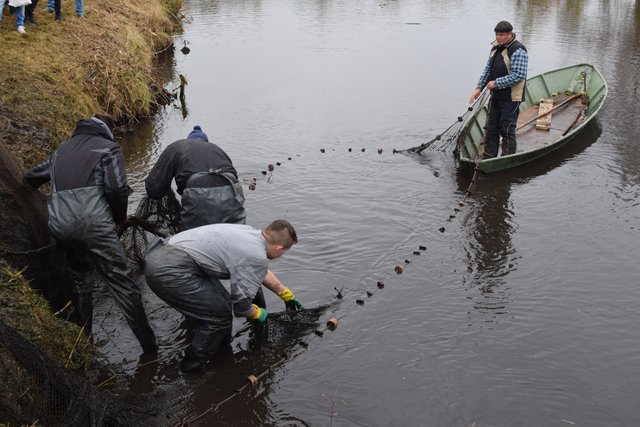 Impressionen: Fischerfest in Hoopte