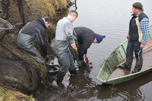 Impressionen: Fischerfest in Hoopte