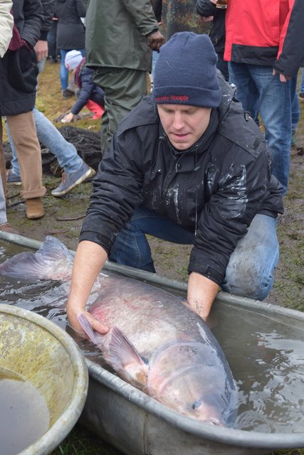 Impressionen: Fischerfest in Hoopte
