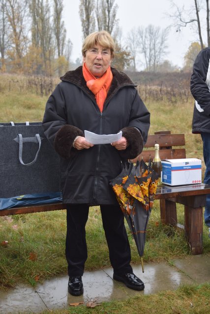 Pflanzung im Jubiläumsgehölz Oldendörpsfeld in Stelle