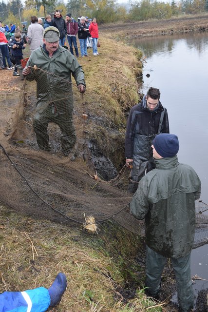 Impressionen: Fischerfest in Hoopte