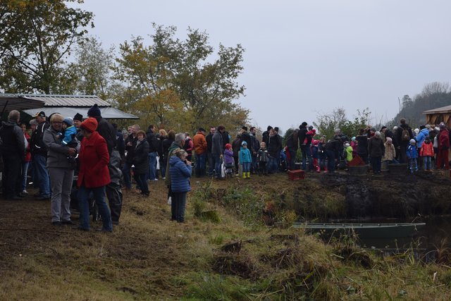 Impressionen: Fischerfest in Hoopte