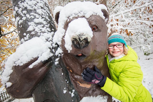 Vor allem Kinder freuen sich über die weiße Pracht - und der Wildpark-Erklärbär bekommt eine Kuscheleinheit. | Foto: Wildpark/Thomas Ix