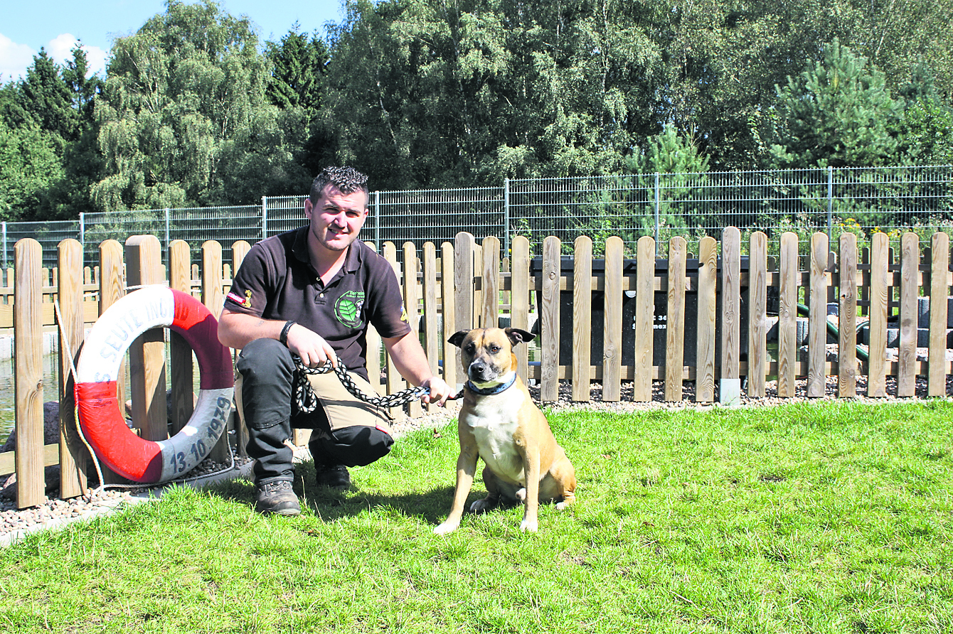 Marenglen Pisha (24) arbeitet seit 2015 im Tierheim Buchholz