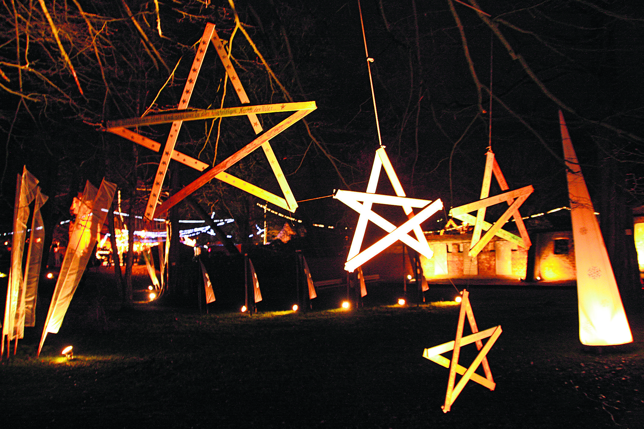 Die Adventsausstellungen sollen auf Weihnachten einstimmen. Doch bei manchem Blumen-Händler ist die gute Stimmung weg