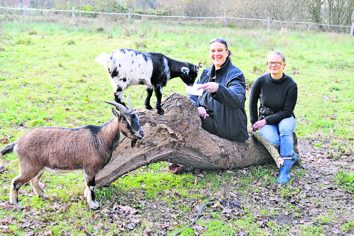 Wollen mit weiteren Gleichgesinnten sie Solidarische Landwirtschaft Kallmoor ins Leben rufen: Tatjana von Eeden (li.) und Olivia Bhandari mit den Ziegen Lilly (vorn) und Finja