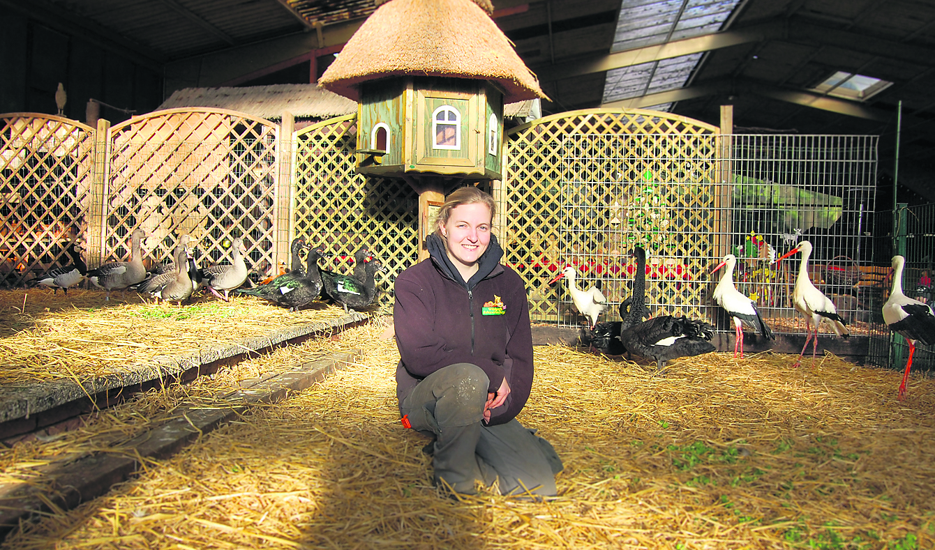 Tierpflegerin Katharina Hahn im Winterquartier des Wildparks Schwarze Berge in der Kunsthandwerkerhalle