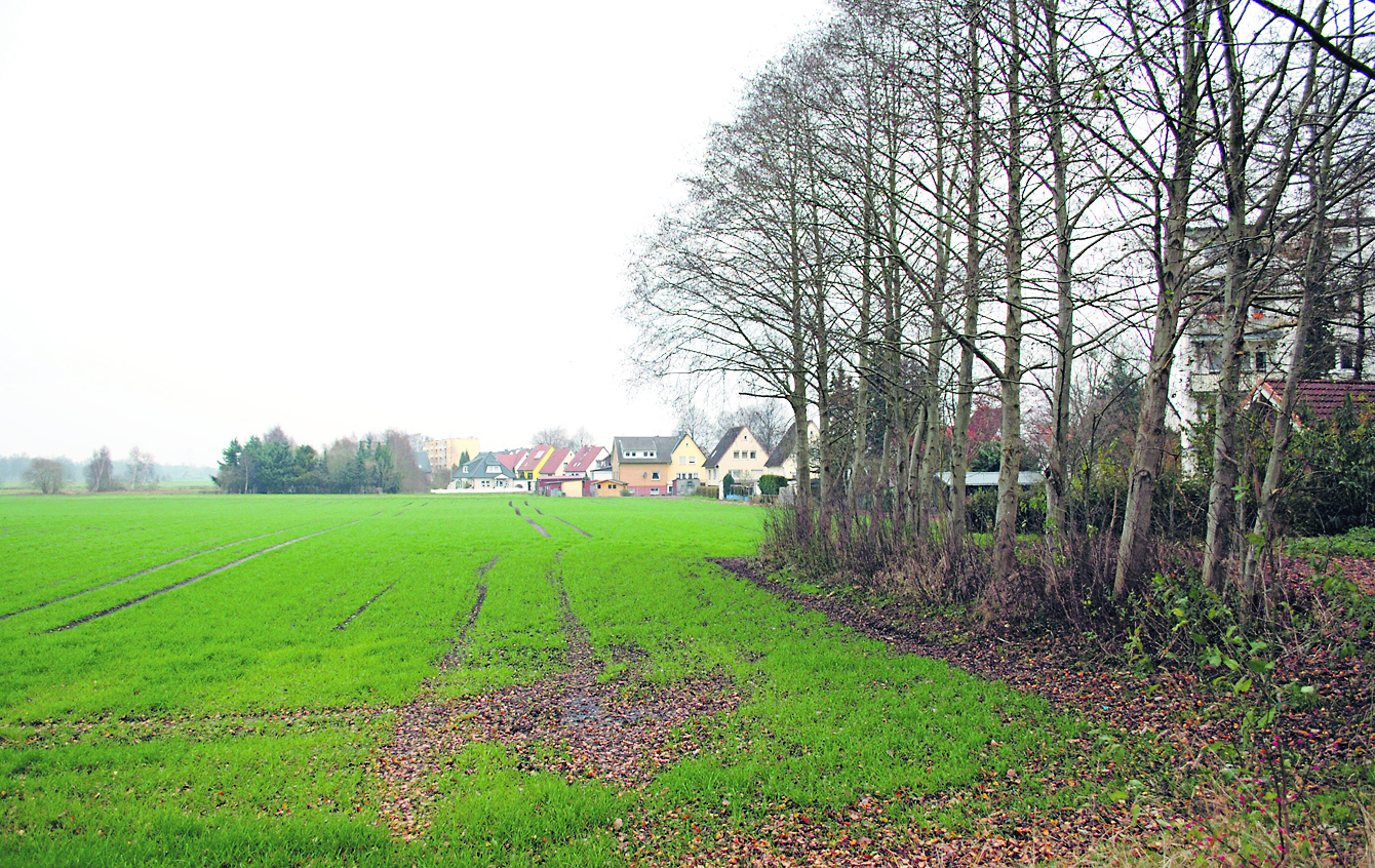 Das geplante Baugebiet Giselbertstraße muss in der Ausdehnung Rücksicht auf eine Uralt-Umgehungsstraßen-Planung nehmen