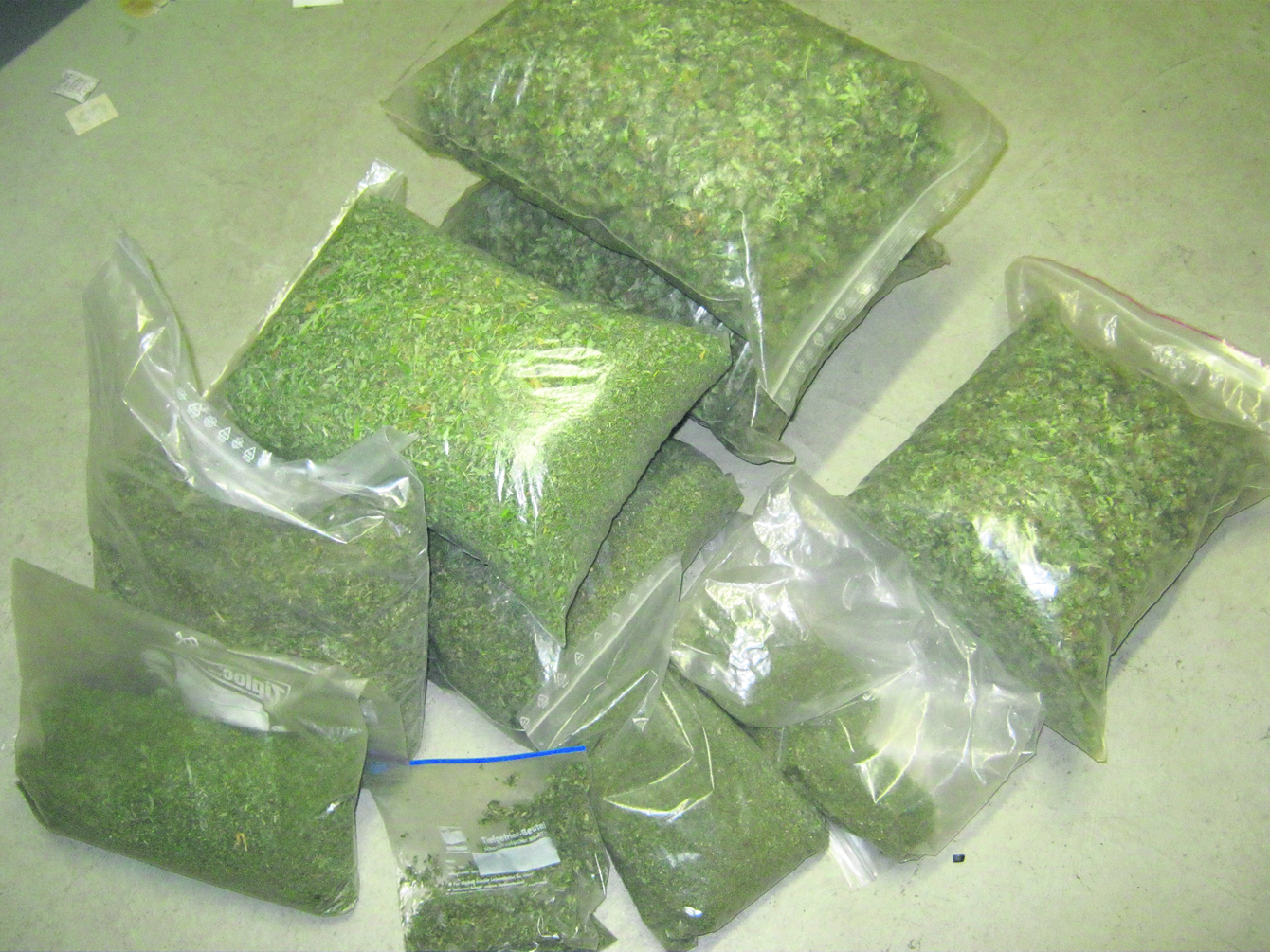 Neben den Hanfpflanzen beschlagnahmte die Polizei auch fünf Kilogramm Marihuana